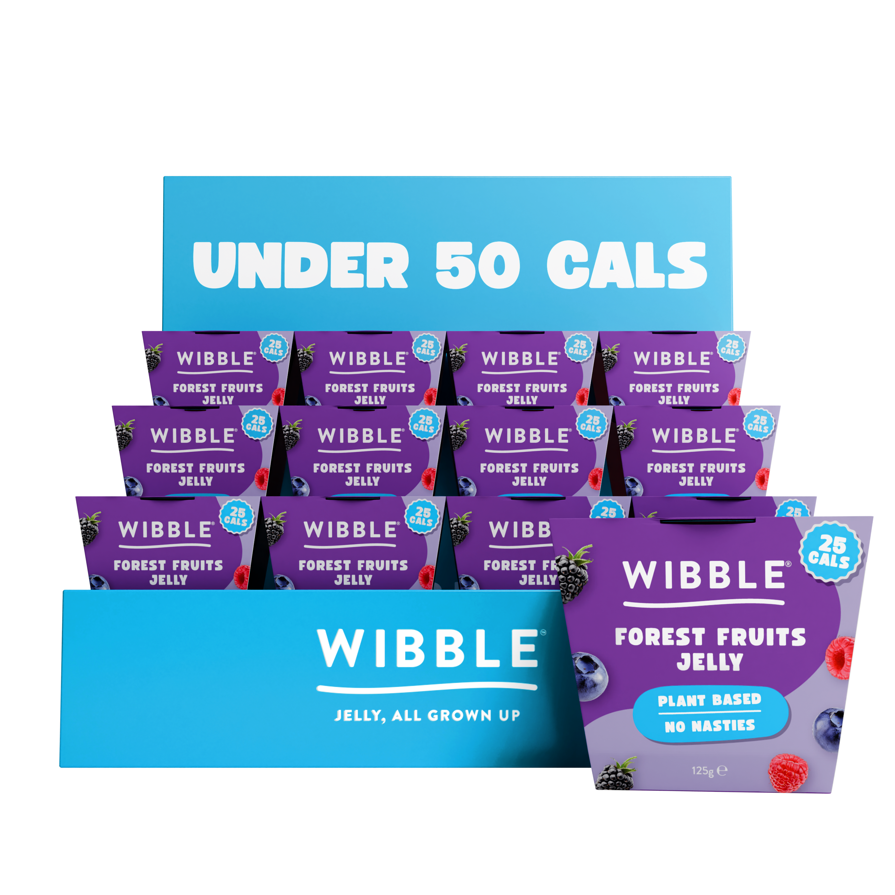 Jelly Pots - Forest Fruits (12 x 125g)