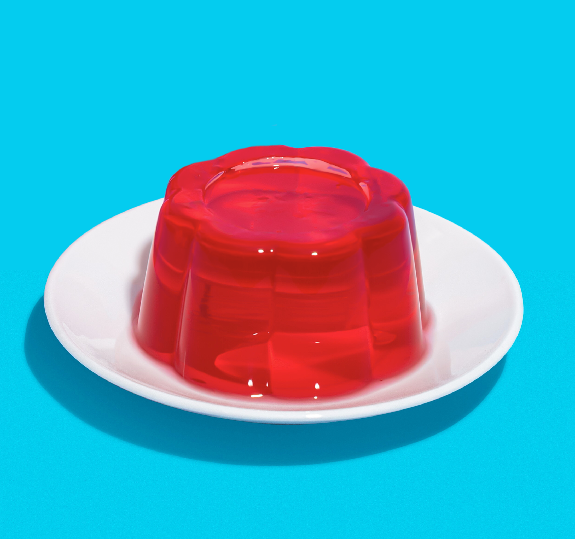 Wibble Mini Jelly Moulds x 6 (150ml each)